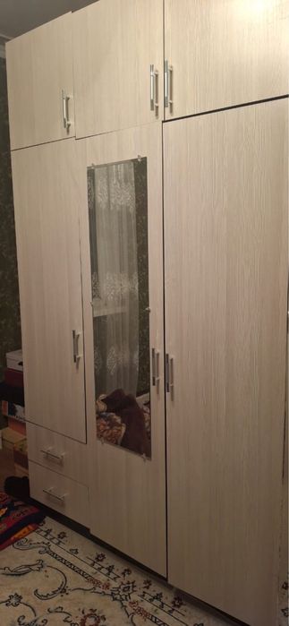 Распашной шкаф, Шкаф-купе Миф Модерн