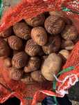 Картофель гала картошка