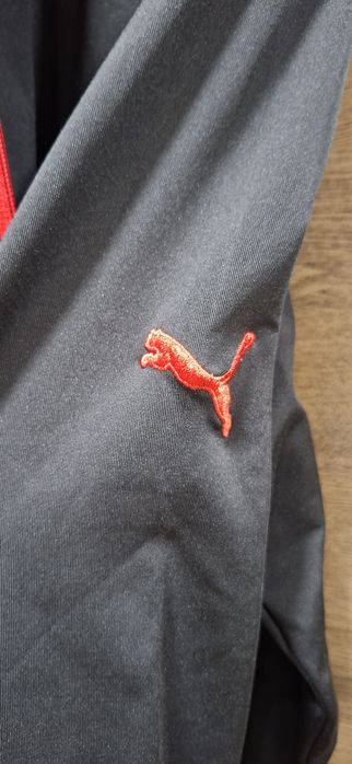 Горнище слуичер Puma Ferarri