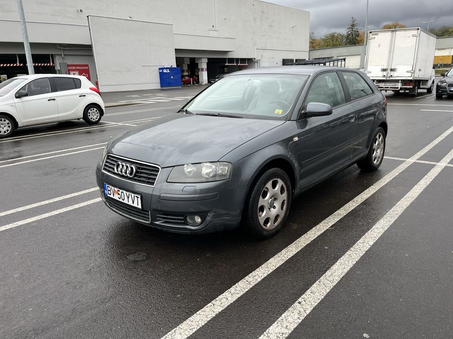 Audi A3 8P 2004, 1.6 benzină, 75kW-102CP