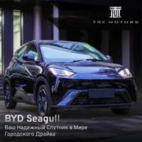 BYD Seagull fly 2023