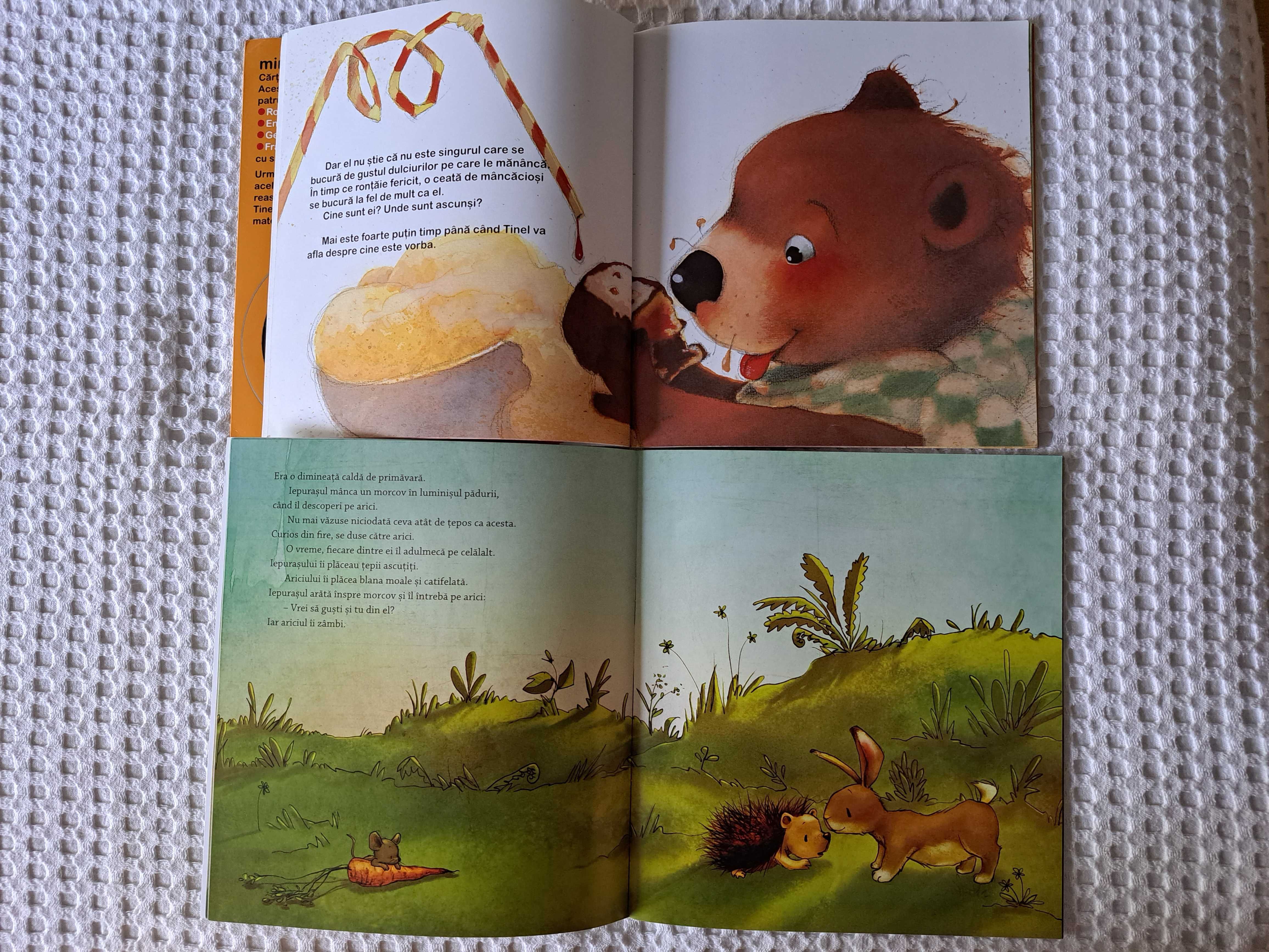 Au, dintii mei! - Poveste animata in 4 limbi Set carti educative