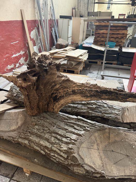 Орехов корен декорация