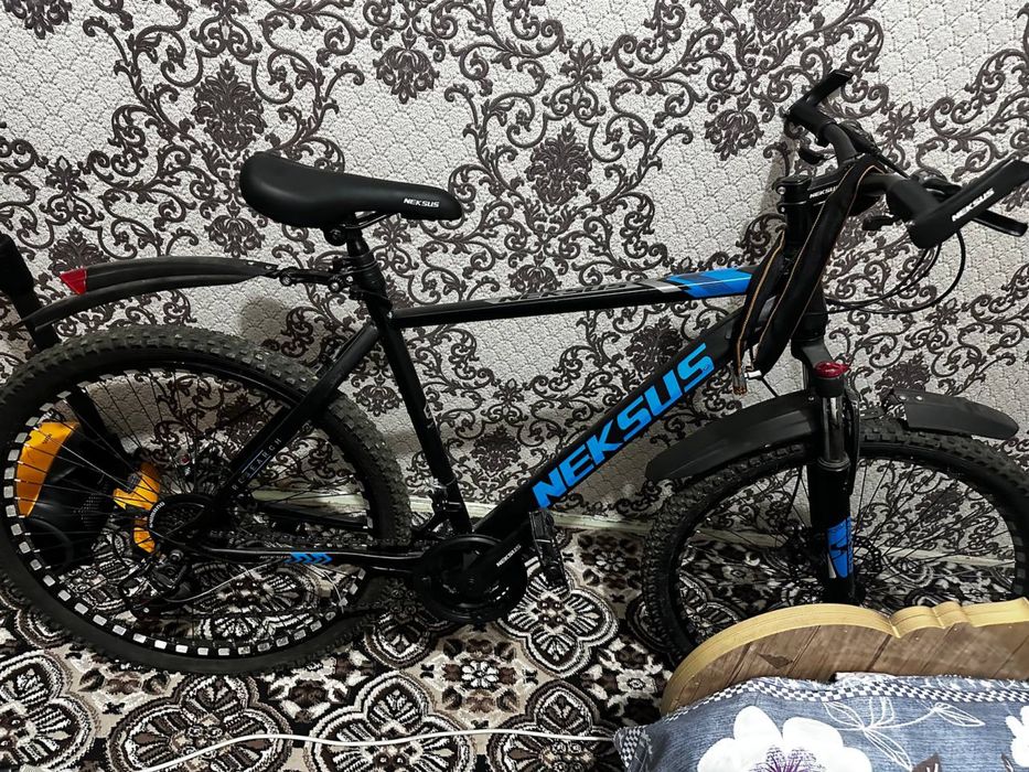 Neksus velik  spartivni