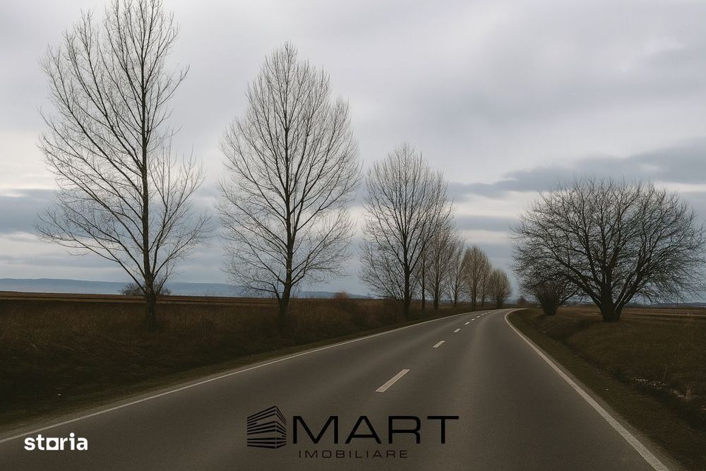 Teren intravilan 10.000mp la drum Calea Surii Mici