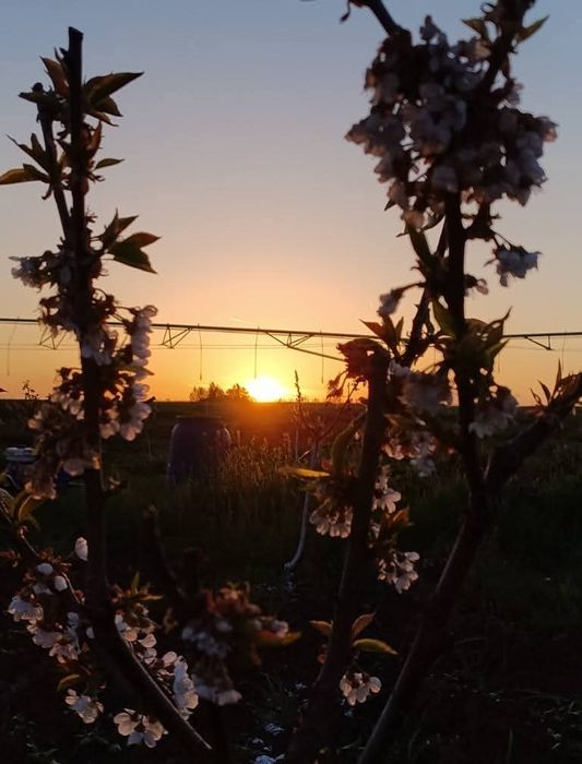 Teren de relaxare în rate!
