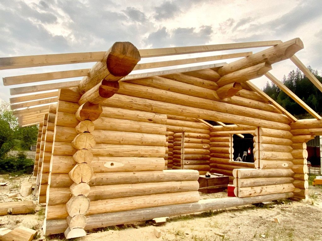 Case cabane lemn rotund (bușteni)