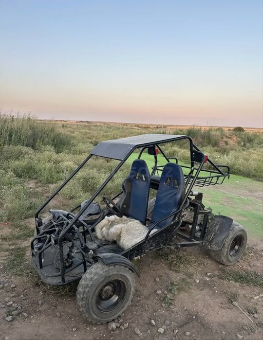 Багги 200 куб на ходу