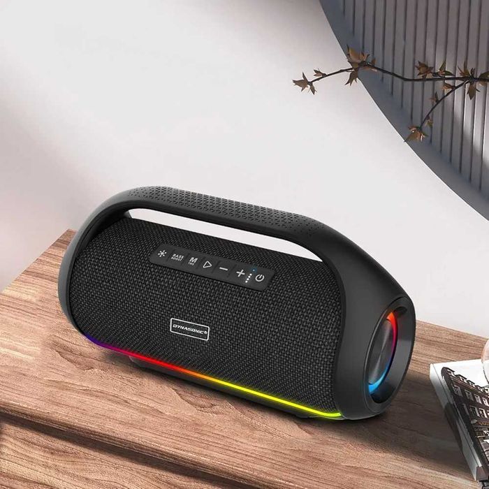 Boxa Dynasonic...Rezistenta la apa...cu doua microfoane wireless