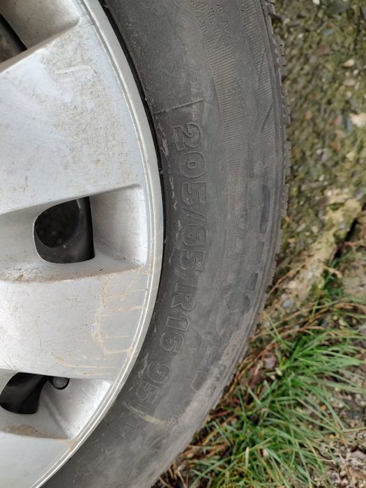 Jante Transporter T5