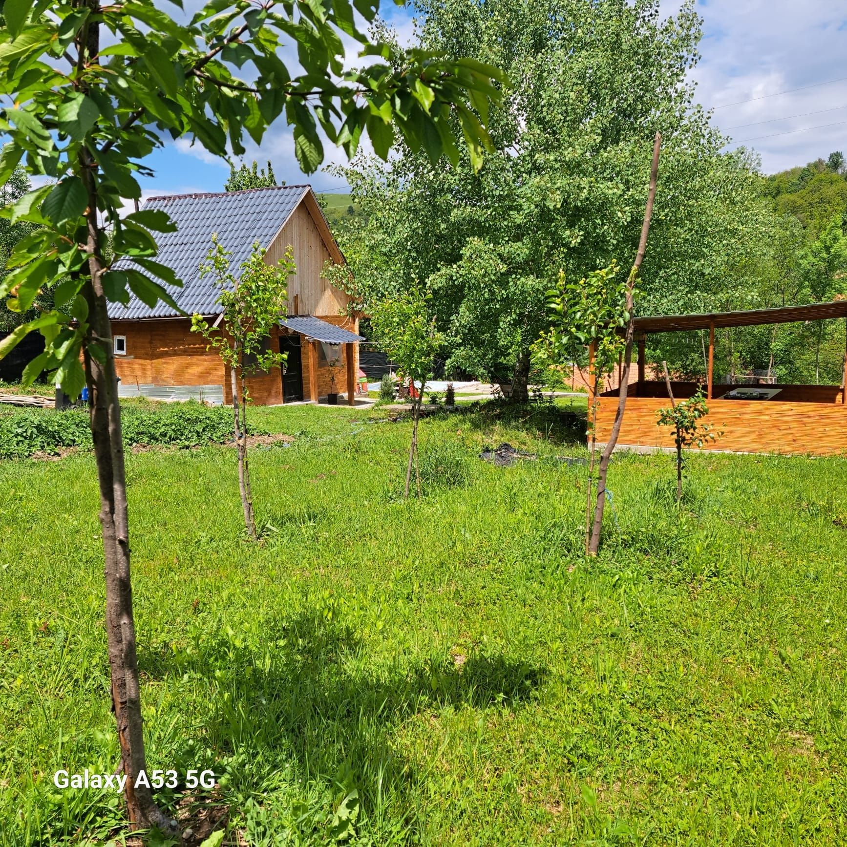 Cazare la Cabana Larisa: Evadarea in natura te așteptată