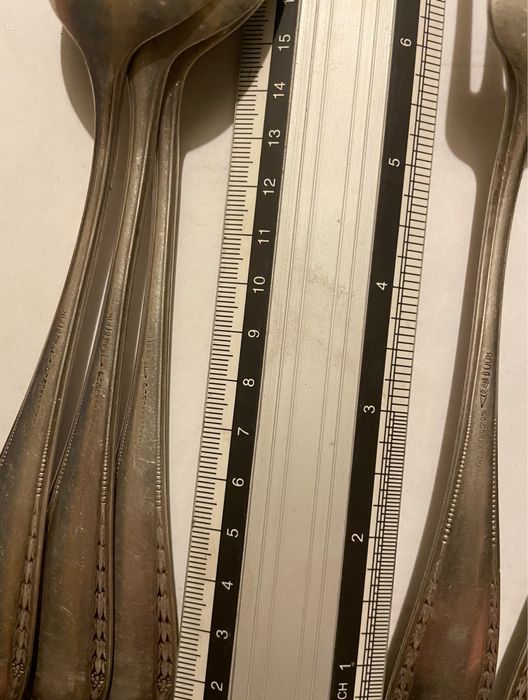 Linguri si firculita G.C.SCHWARZMAN