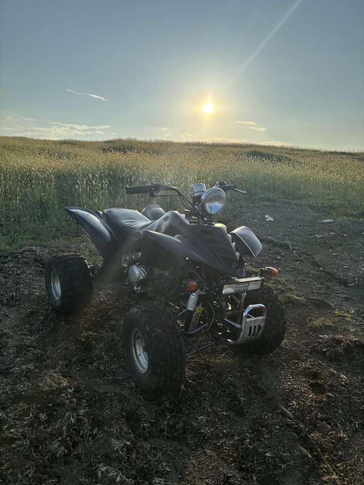 Atv 200cc Peidu lizard
