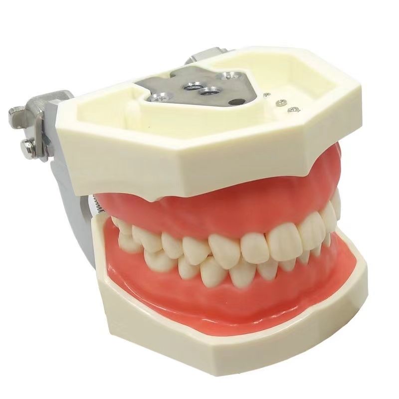 Set de dinți pentru arcada Kilgore Nissin (ca și cea din poză)