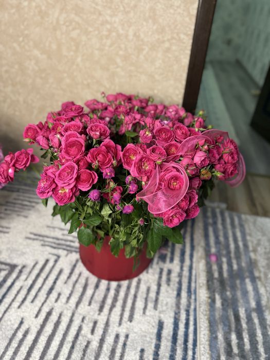 Цветы б/у все за 10 000