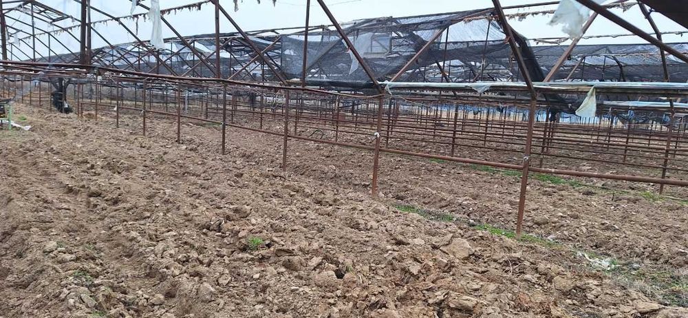 Сирдарё вилояти Сирдарё тумани Малик МФЙда иссиқхона биноси