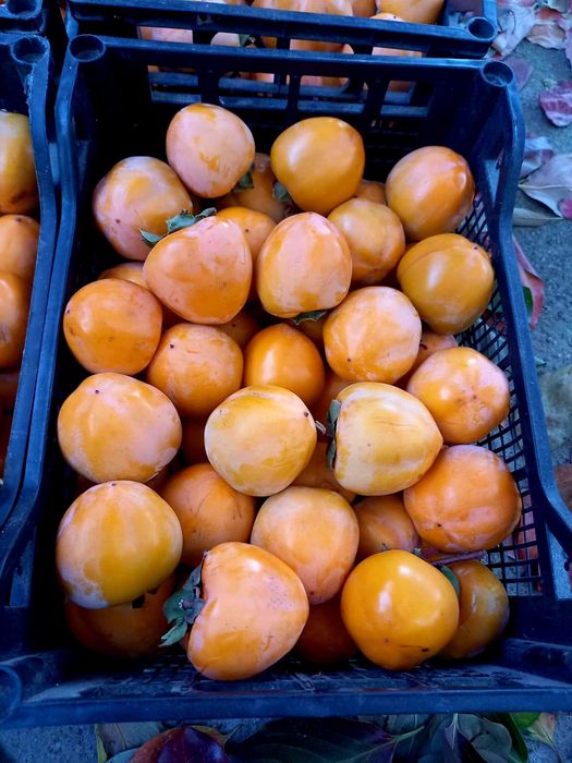 Домашна Райска Ябълка