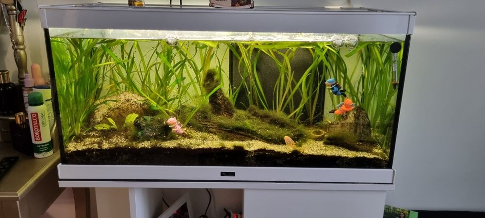 Acvariu 100 litri  Aquatlantis