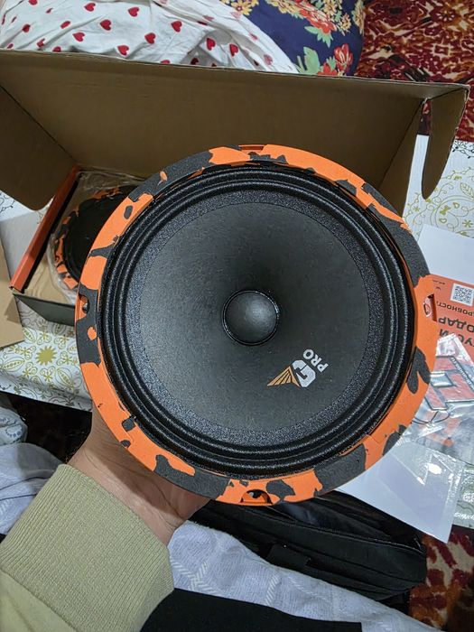 Dl audio Gryphon pro 165