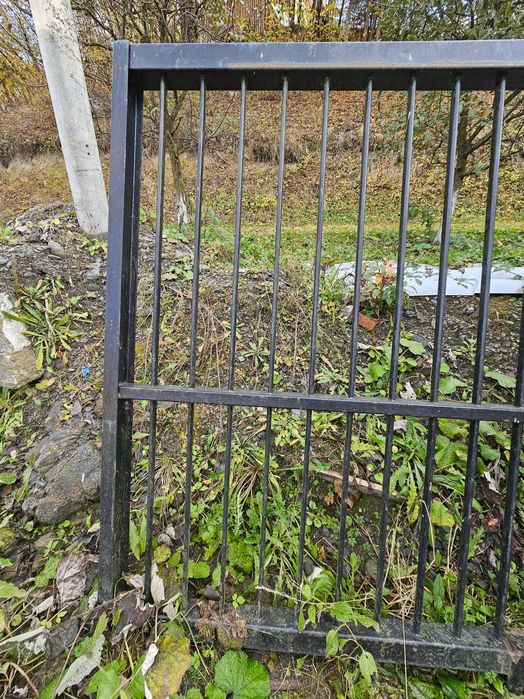 De vânzare poarta fier