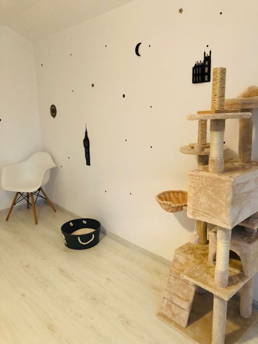 Cazare pentru pisici și alte animaluțe mici