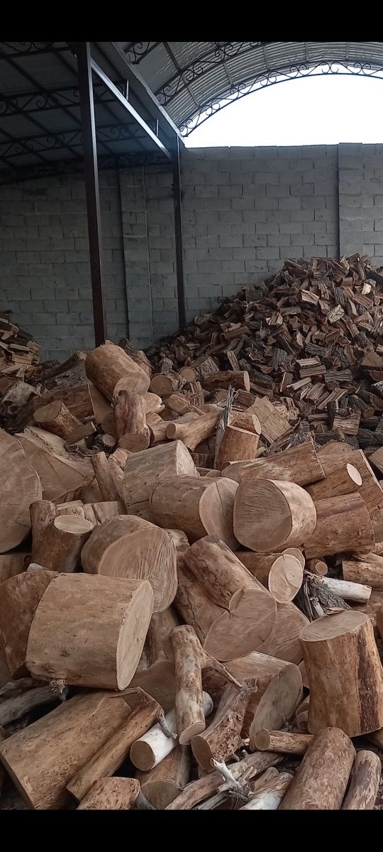 Дрова карагач рубленые СУХОЙ  !