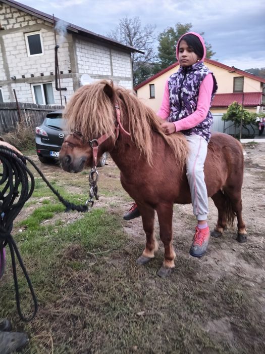 De vânzare foarte cuminte