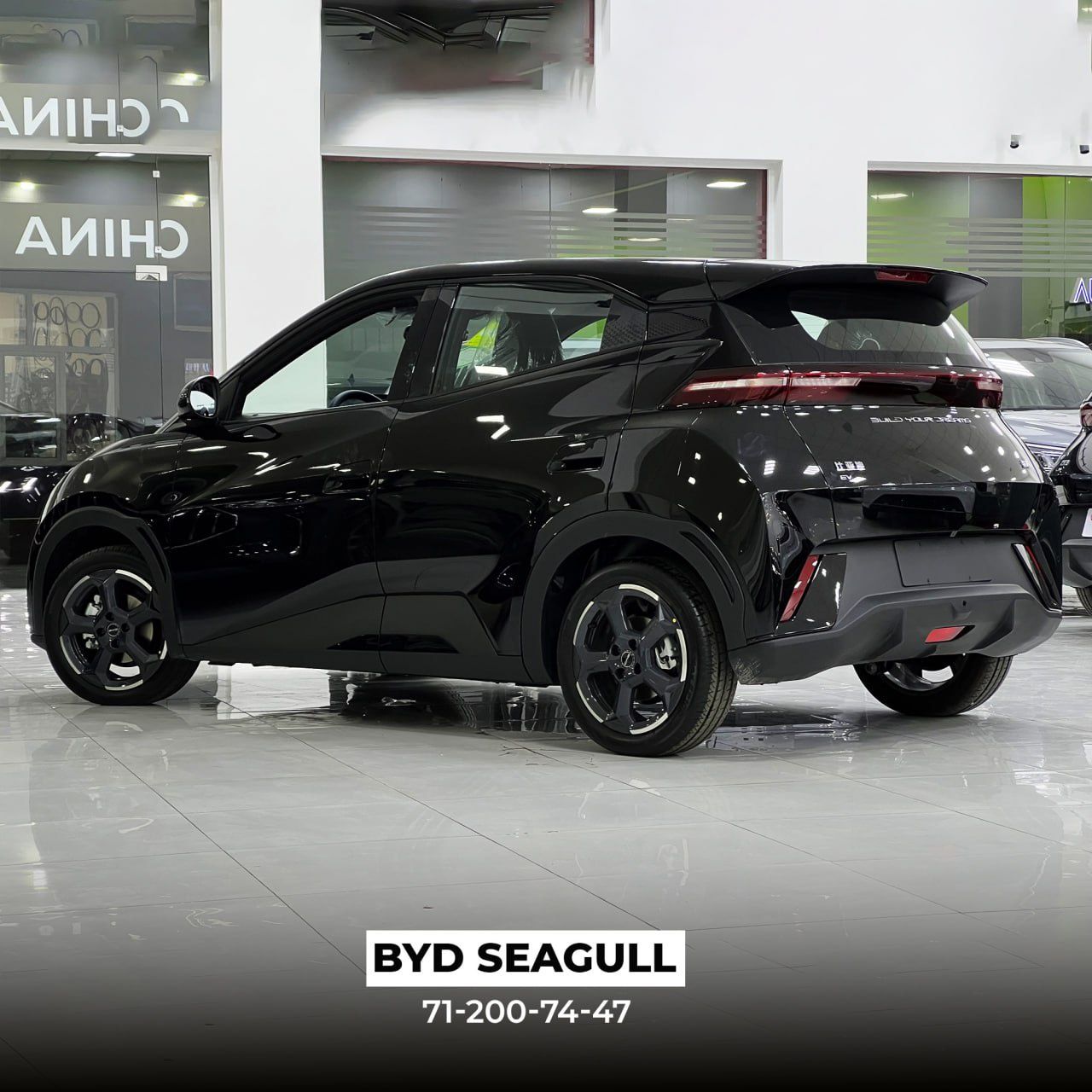 Byd segul ful 2023