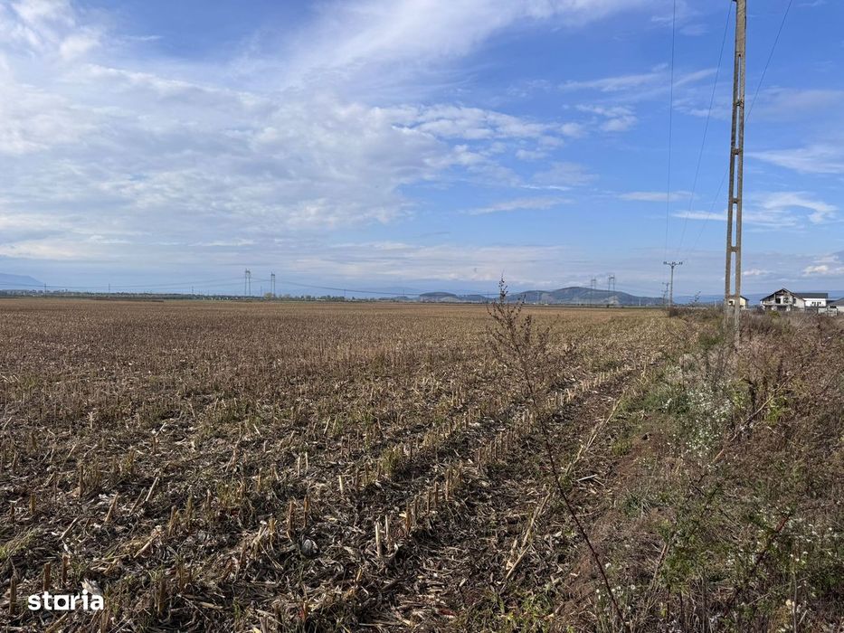 Teren dezvoltare rezidentiala Tarlungeni - zona Izvor