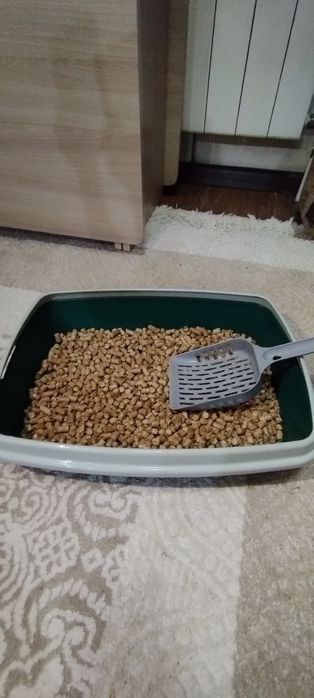 Лоток для котов "ешкин кот" срочно