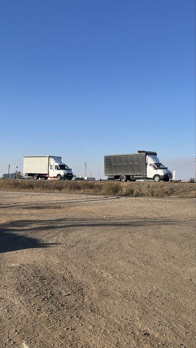 Скотовоз газель Мал тасымалдау барлық бағытқа