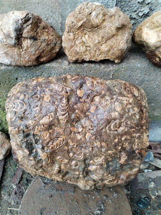 Piatră decorativă