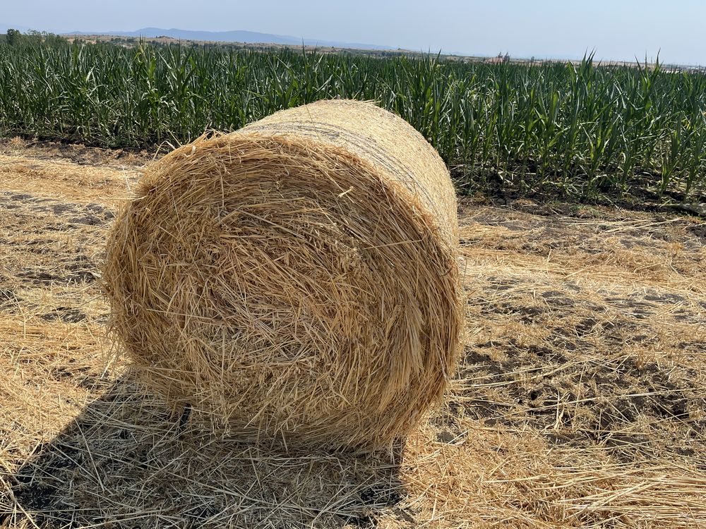 Продавам ролонни бали