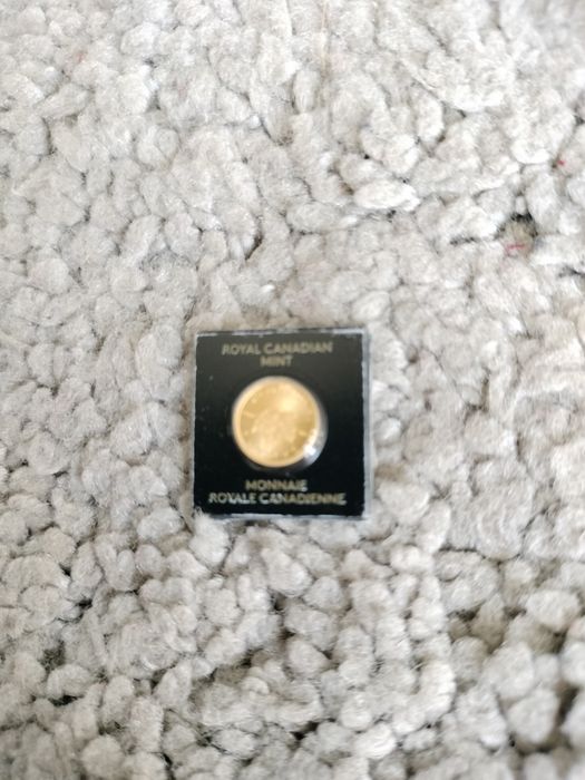 Moneda aur 9999 1 gr