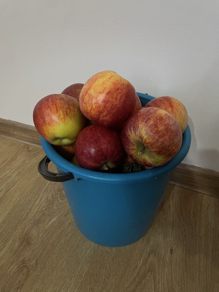 Продам яблоки домашние