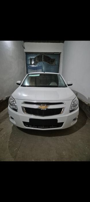 Cobalt Stayl 2025