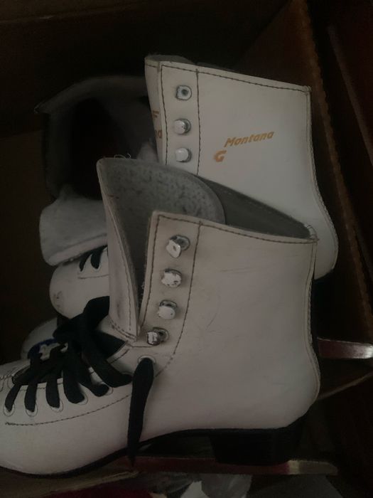 Коньки коньки разные