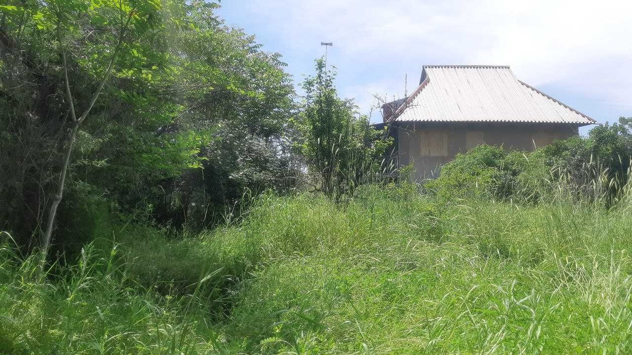 Bo'stonliq tumani, Dumaloq MFY dala hovli