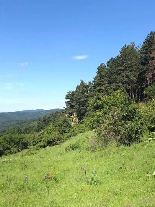 Продава се Парцел в с. Стъргел, Област София-област - 9282 кв.м за 12 €/кв.м - Снимка #2