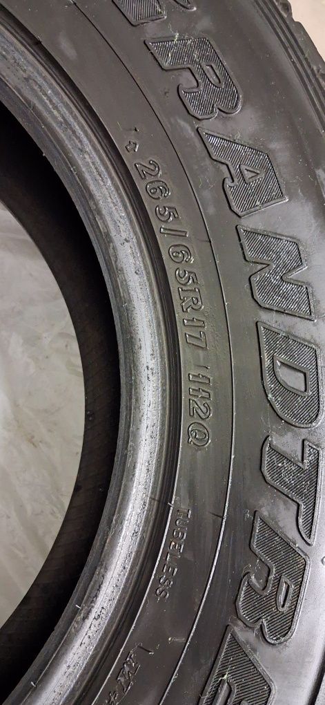 Шины DUNLOP Gandtrek