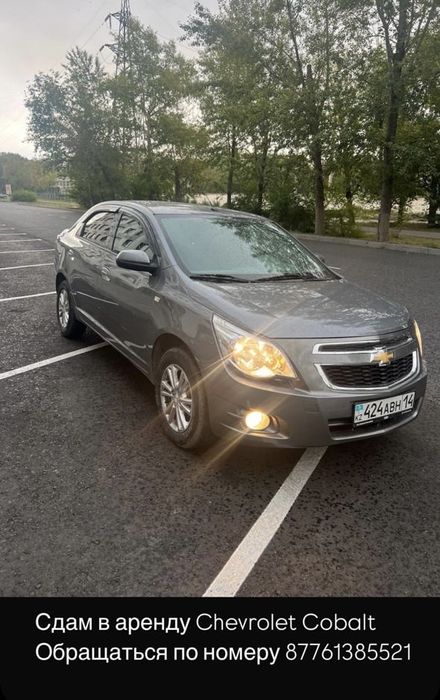Сдам кобальты в аренду 2024-25 года на автомате