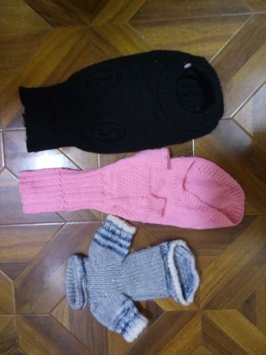 Hainute si accesorii caini si pisici