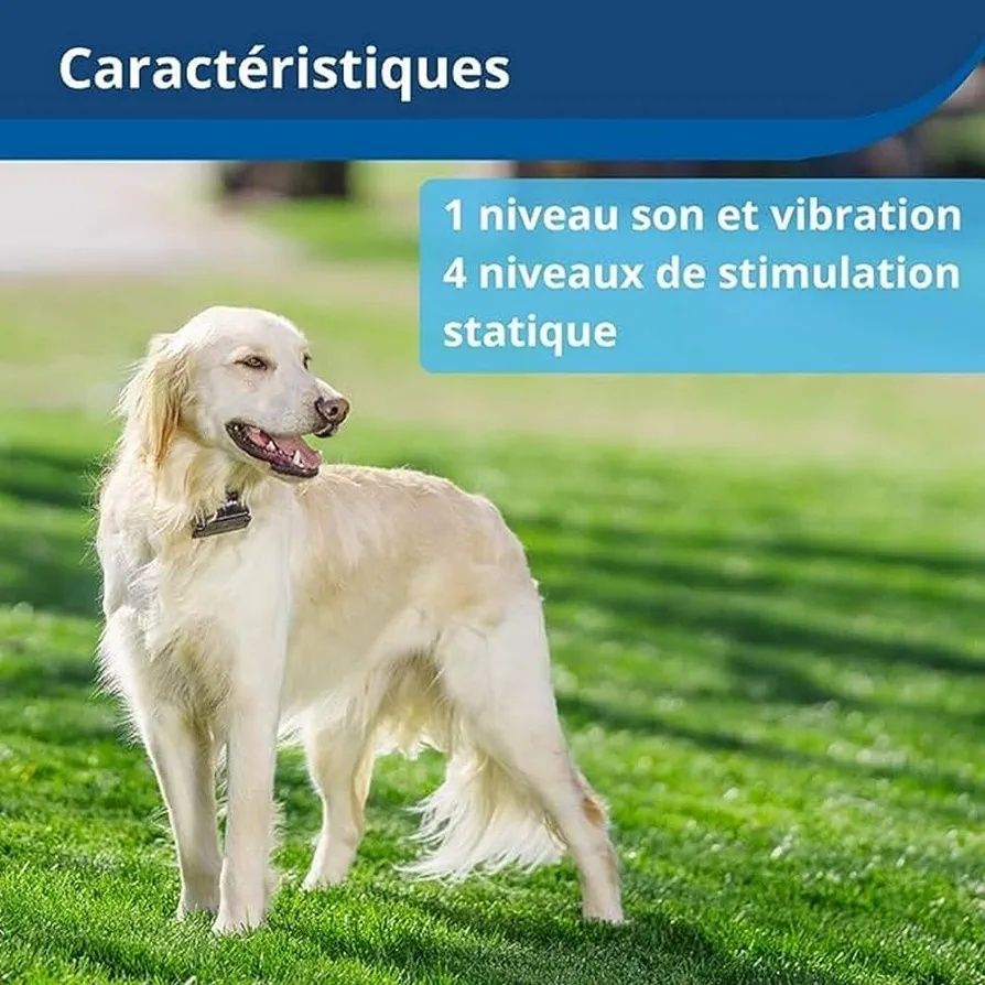 Sistem de gard îngropat PetSafe pentru câini încăpățânați. (NOU)