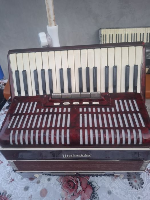 Acordeon  Weltmeister