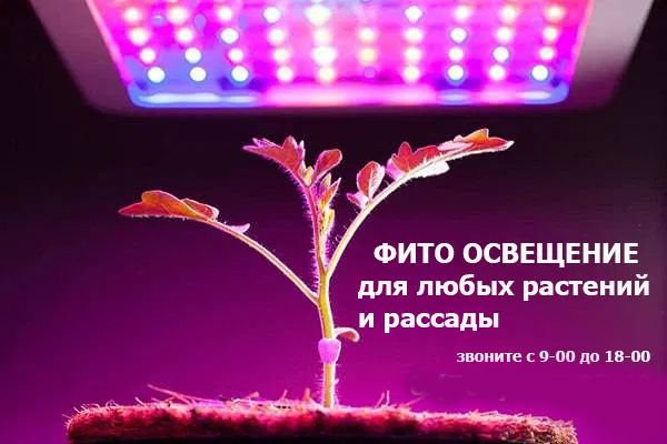 Для комнатных растений рассады и в теплицы ФИТО-ЛАМПЫ полный спектр