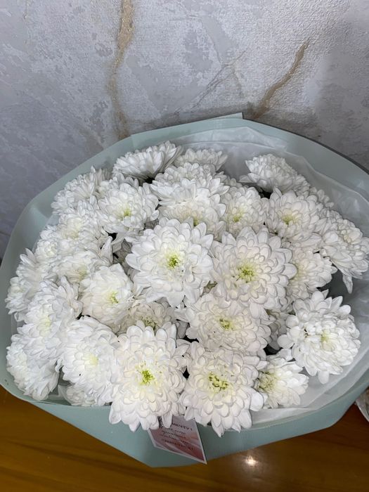 Цветы Хризантемы