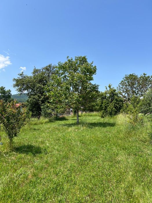 Vand casa in localitatea Vascau, Jud Bihor