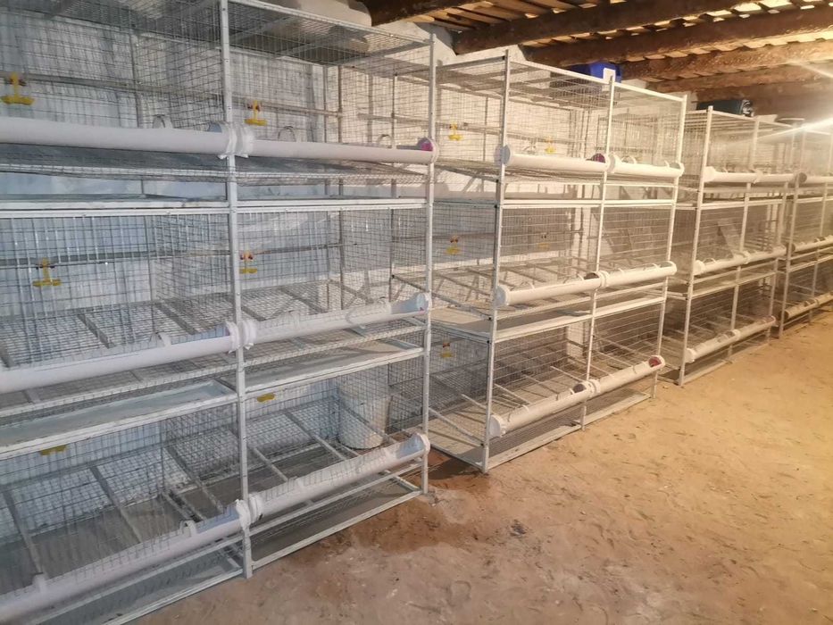 Клетки для курочек
