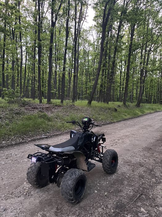 VAND LONICN 200cc nu(bashan,cf moto,can am,segway,kxd)
