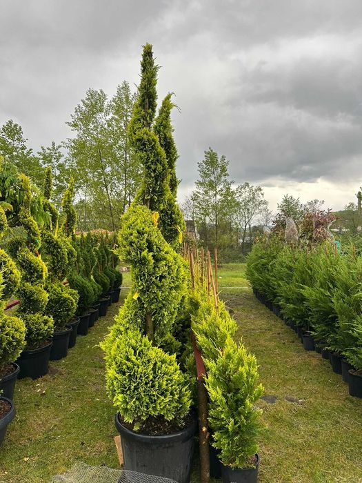 Spirale peisagistice – Eleganță care durează în timp